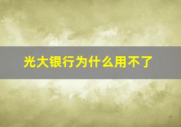 光大银行为什么用不了