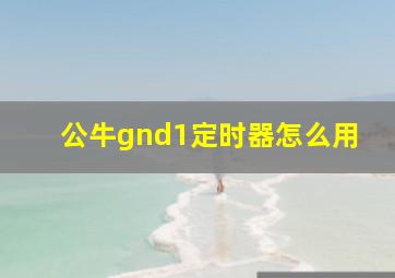 公牛gnd1定时器怎么用