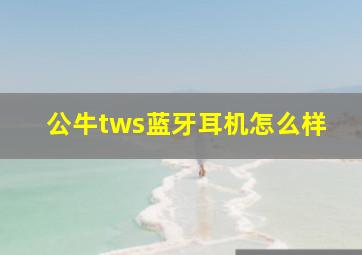 公牛tws蓝牙耳机怎么样