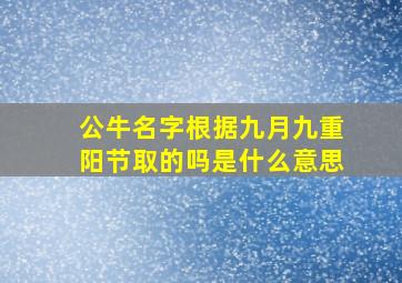 公牛名字根据九月九重阳节取的吗是什么意思