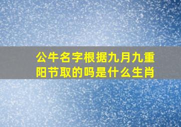 公牛名字根据九月九重阳节取的吗是什么生肖