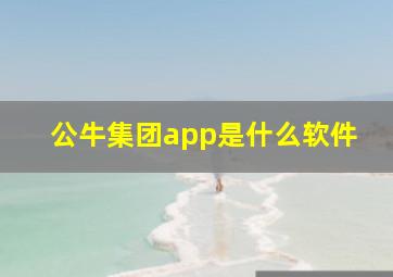 公牛集团app是什么软件