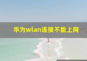 华为wlan连接不能上网