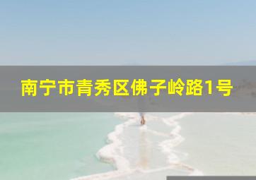 南宁市青秀区佛子岭路1号