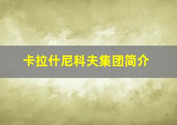 卡拉什尼科夫集团简介