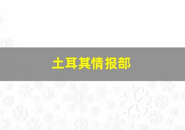 土耳其情报部