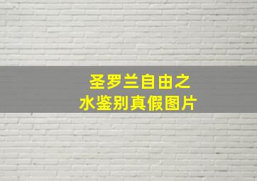 圣罗兰自由之水鉴别真假图片