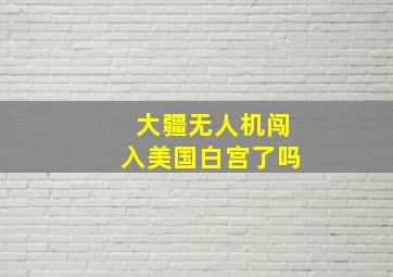 大疆无人机闯入美国白宫了吗