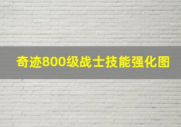 奇迹800级战士技能强化图