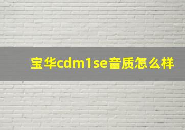 宝华cdm1se音质怎么样