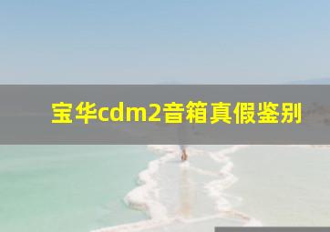 宝华cdm2音箱真假鉴别