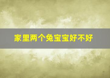 家里两个兔宝宝好不好