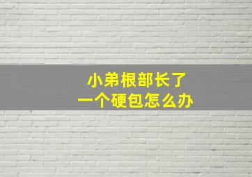 小弟根部长了一个硬包怎么办