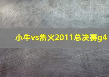 小牛vs热火2011总决赛g4