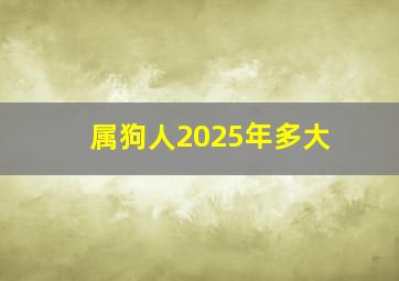 属狗人2025年多大