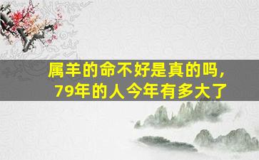 属羊的命不好是真的吗,79年的人今年有多大了