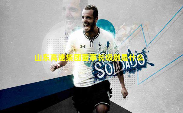 山东高速集团董事长级别是什么