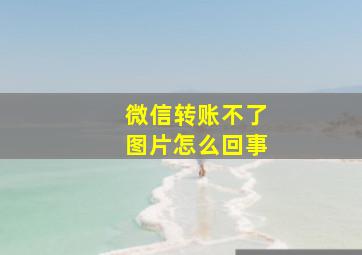 微信转账不了图片怎么回事