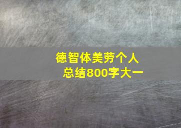 德智体美劳个人总结800字大一