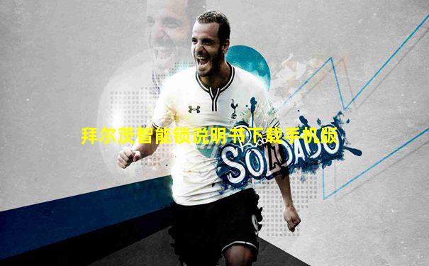 拜尔茨智能锁说明书下载手机版