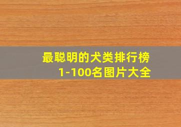 最聪明的犬类排行榜1-100名图片大全