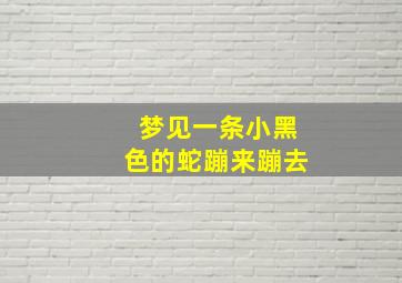 梦见一条小黑色的蛇蹦来蹦去