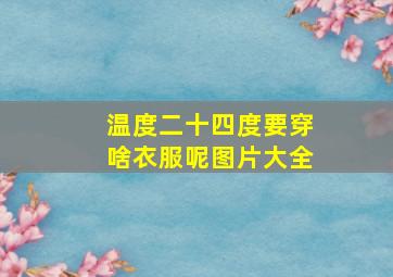 温度二十四度要穿啥衣服呢图片大全