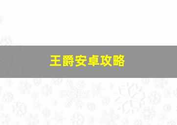 王爵安卓攻略