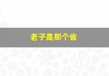 老子是那个省