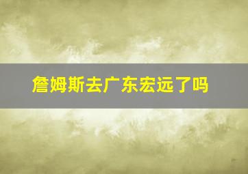 詹姆斯去广东宏远了吗