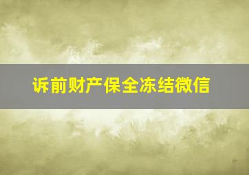 诉前财产保全冻结微信