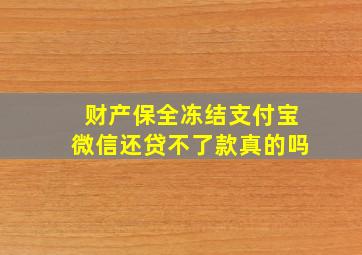 财产保全冻结支付宝微信还贷不了款真的吗