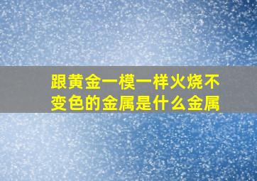 跟黄金一模一样火烧不变色的金属是什么金属