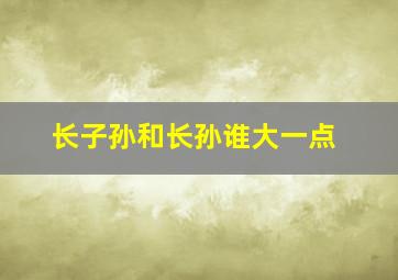 长子孙和长孙谁大一点